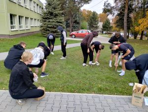 Sadzenie krokusów