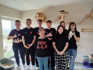 Pomagamy zwierzakom!