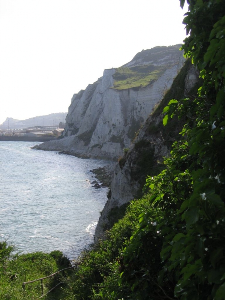 dover_075.jpg