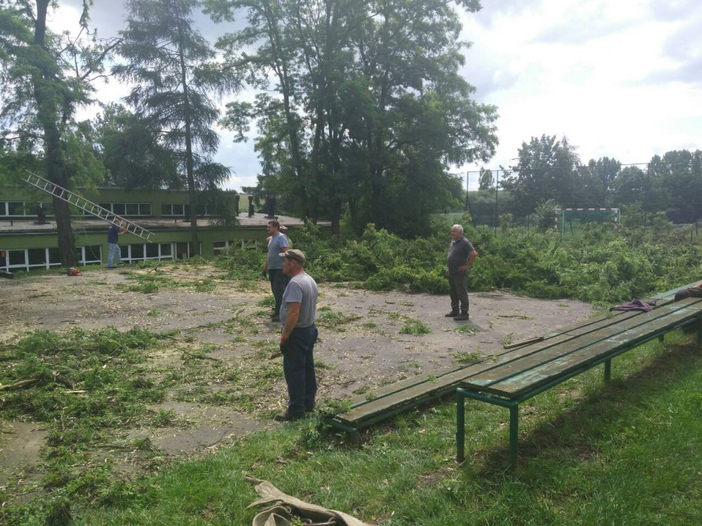 Film z otarcia boiska, ślubowania klas pierwszych i sadzenia krokusów