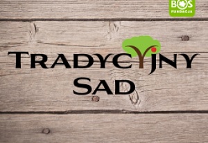 Tradycyjny sad