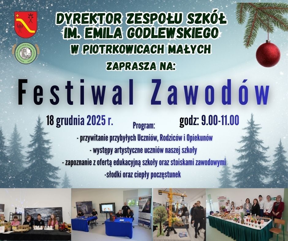 Festiwal zawodów